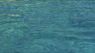 screen-shot-2016-12-18-at-3-27-27-pm